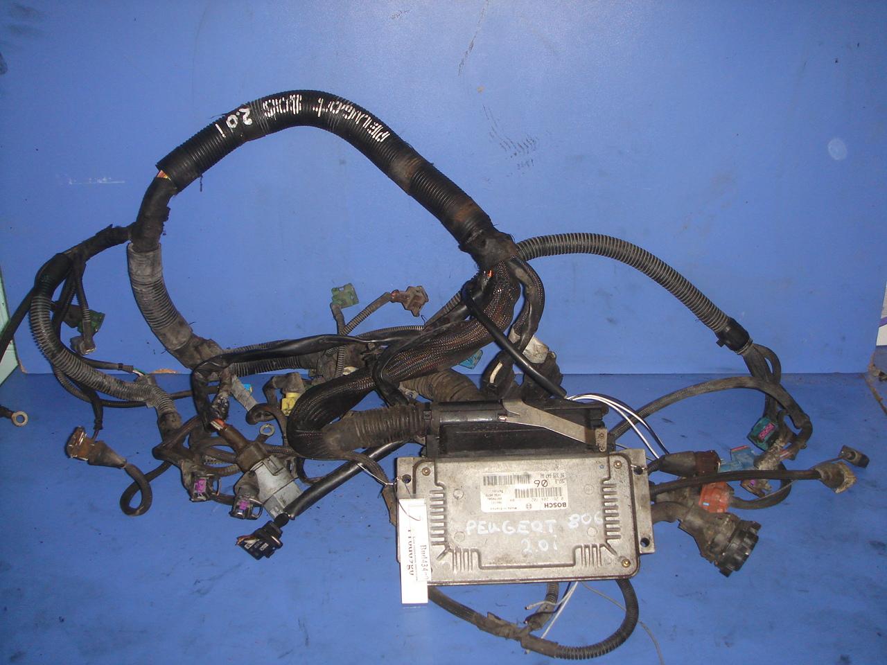 Проводка двигателя - Citroen Evasion (1994-2002)